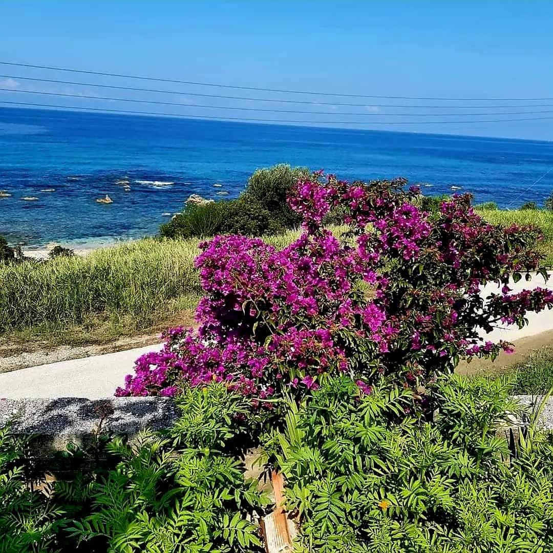 Apartment Preveza *